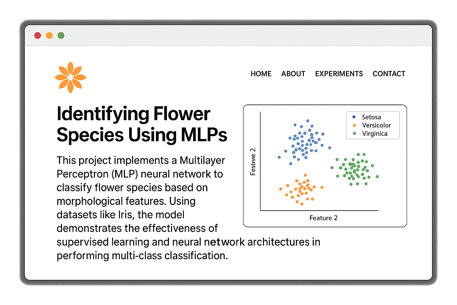 MLP Classification
